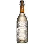 Pasote Anějo 40% 0,7 l (holá láhev) – Sleviste.cz