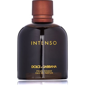 Dolce & Gabbana Intenso parfémovaná voda pánská 125 ml