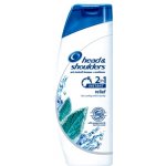 Head & Shoulders 2in1 Instant Relief šampon 400 ml – Hledejceny.cz