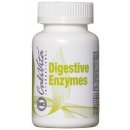 CaliVita Digestive Enzymes 100 tablet