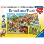 Ravensburger Koňská farma 3 x 49 dílků – Zboží Dáma