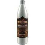 Topvet Sirup Močopohlavní aparát pro koně 1 l – Hledejceny.cz