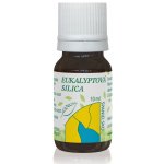 Hanus Eukalyptus 10 ml – Hledejceny.cz