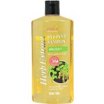 Herb Extract Bylinný šampon Bříza 500 ml – Hledejceny.cz