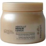 L'Oréal Expert Absolut Repair Lipidium Mask 500 ml – Zboží Dáma