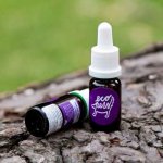 Ecopets sérum proti blechám a klíšťatům 30 ml – Zboží Dáma