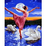 Norimpex Diamantové malování Baletka mezi labutěmi 30 x 40 cm – Hledejceny.cz