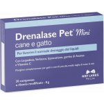 NBF Lanes drenalase pet Mini pes a kočka odvodnění tekutin 20 tbl – Hledejceny.cz