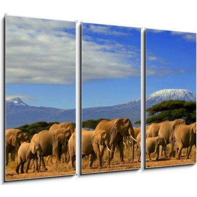 Obraz 3D třídílný - 105 x 70 cm - Kilimanjaro And Elephants Kilimanjaro a sloni – Zbozi.Blesk.cz