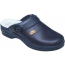 Scholl NEW BONUS PUNCHED