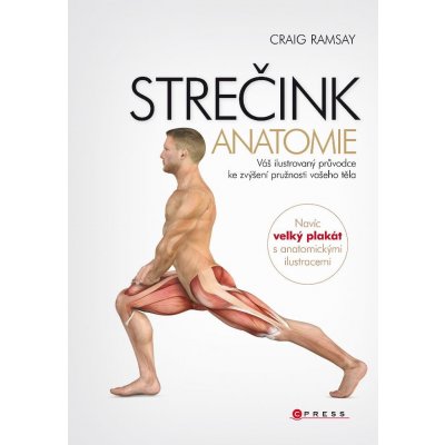 Strečink - anatomie – Hledejceny.cz