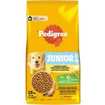 Pedigree Junior s drůbežím masem a zeleninou 12 kg – Hledejceny.cz