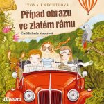 Případ obrazu ve zlatém rámu – Hledejceny.cz