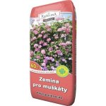 Rašelina Soběslav Zemina pro muškáty 60 l – Hledejceny.cz