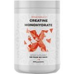 BrainMax Creatine Monohydrate 500 g – Zboží Dáma
