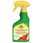 Loxiran Neudorff - mravenci 250 ml sprej – Sleviste.cz