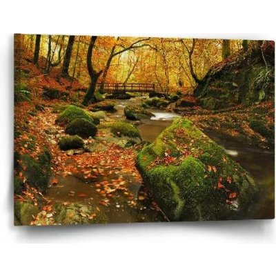 Sablio Obraz Most v lese - 60x40 cm – Hledejceny.cz