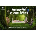 Nocování v ZOO Tábor – Hledejceny.cz