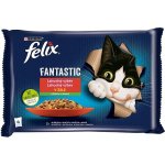 Felix Fantastic s kuřetem a rajčaty s hovězím a mrkví v želé 4 x 85 g – Hledejceny.cz