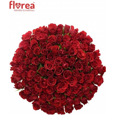 Kytice 100 červených růží RED CALYPSO 40cm