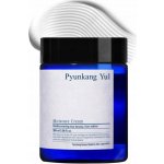 Pyunkang Yul Moisture Cream hydratační krém 100 ml – Hledejceny.cz