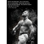 1 dílné obrazy Conor McGregor ty008 Velikost 60 x 120cm – Hledejceny.cz