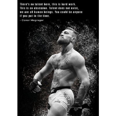 1 dílné obrazy Conor McGregor ty008 Velikost 60 x 120cm – Hledejceny.cz