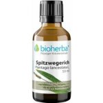 Skorocel kopijovitý tinktura kapky 50 ml Bioherba – Hledejceny.cz
