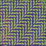 Animal Collective - Merriweather Post Pavilion CD – Zboží Dáma