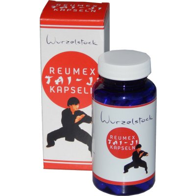 Reumex TAI-JI 90 tablet – Hledejceny.cz