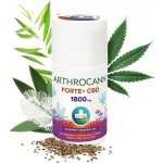 Annabis Arthrocann Forte CBD+ 1800mg masážní gel 75 ml – Zboží Dáma