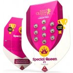 Royal Queen Seeds Special Queen #1 semena neobsahují THC 10 ks – Hledejceny.cz