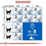 Royal Canin Indoor Long Hair 10 kg – Zbozi.Blesk.cz