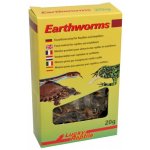 Lucky Reptile Earthworms 10 g – Zboží Dáma