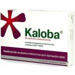 KALOBA 20 MG POTAHOVANÉ TABLETY POR TBL FLM 21 – Zboží Mobilmania