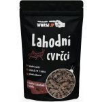 WormUP Lahodní Cvrčci v čokoládě Hořká čokoláda s chilli 80 g – Hledejceny.cz