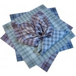 Etex Látkové pánské kapesníky 6ks – Zboží Dáma