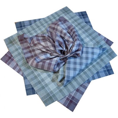 Etex Látkové pánské kapesníky 6ks – Zboží Dáma