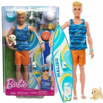 Barbie Ken surfař s doplňky