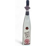 Hustopečská Mandlovka 38% 1,5 l (holá láhev) – Zboží Dáma