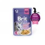 Brit cat adult Premium with Chicken Fillets jelly 85 g – Zboží Mobilmania