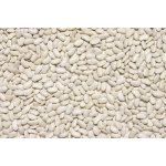 Les fruits du paradis Fazole bíla Bio 25 kg – Zboží Dáma