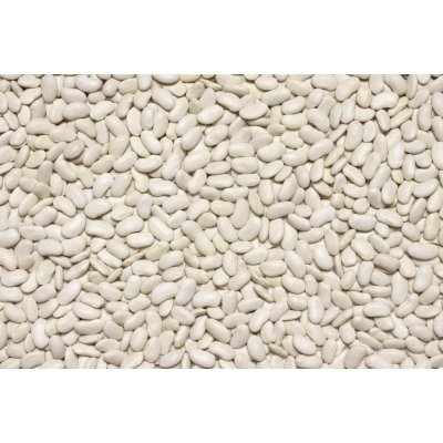 Les fruits du paradis Fazole bíla Bio 25 kg – Zboží Dáma