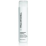 Paul Mitchell Invisiblewear Shampoo 300 ml – Zbozi.Blesk.cz