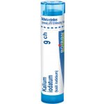 SULFUR IODATUM POR 9CH GRA 4G – Hledejceny.cz