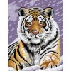 Malování podle čísla SMT Malování podle čísel Tygr ve sněhu