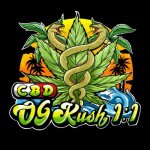 Sumo Seeds CBD OG Kush 1:1 semena neobsahují THC 3 ks – Zboží Mobilmania