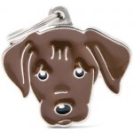 My Family LABRADOR gravírovateľný přívěsek 2,6 x 3,3 cm – Zboží Dáma