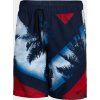 Koupací šortky, boardshorts Pánské koupací šortky SKMT008 barevné allover