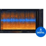 iZotope RX 11 Standard Digitální produkt – Zboží Živě